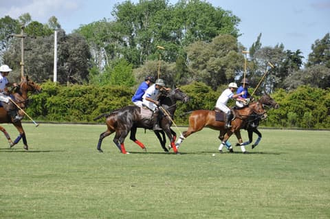 La cancha de polo